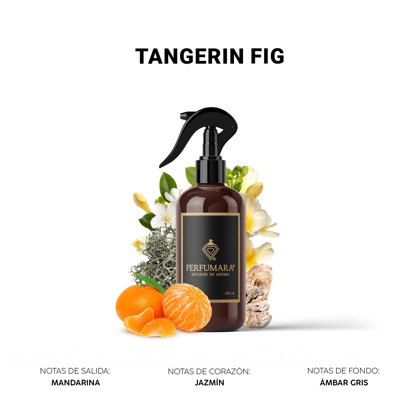 Tangerin Fig ( Tienda Deportes famosa)