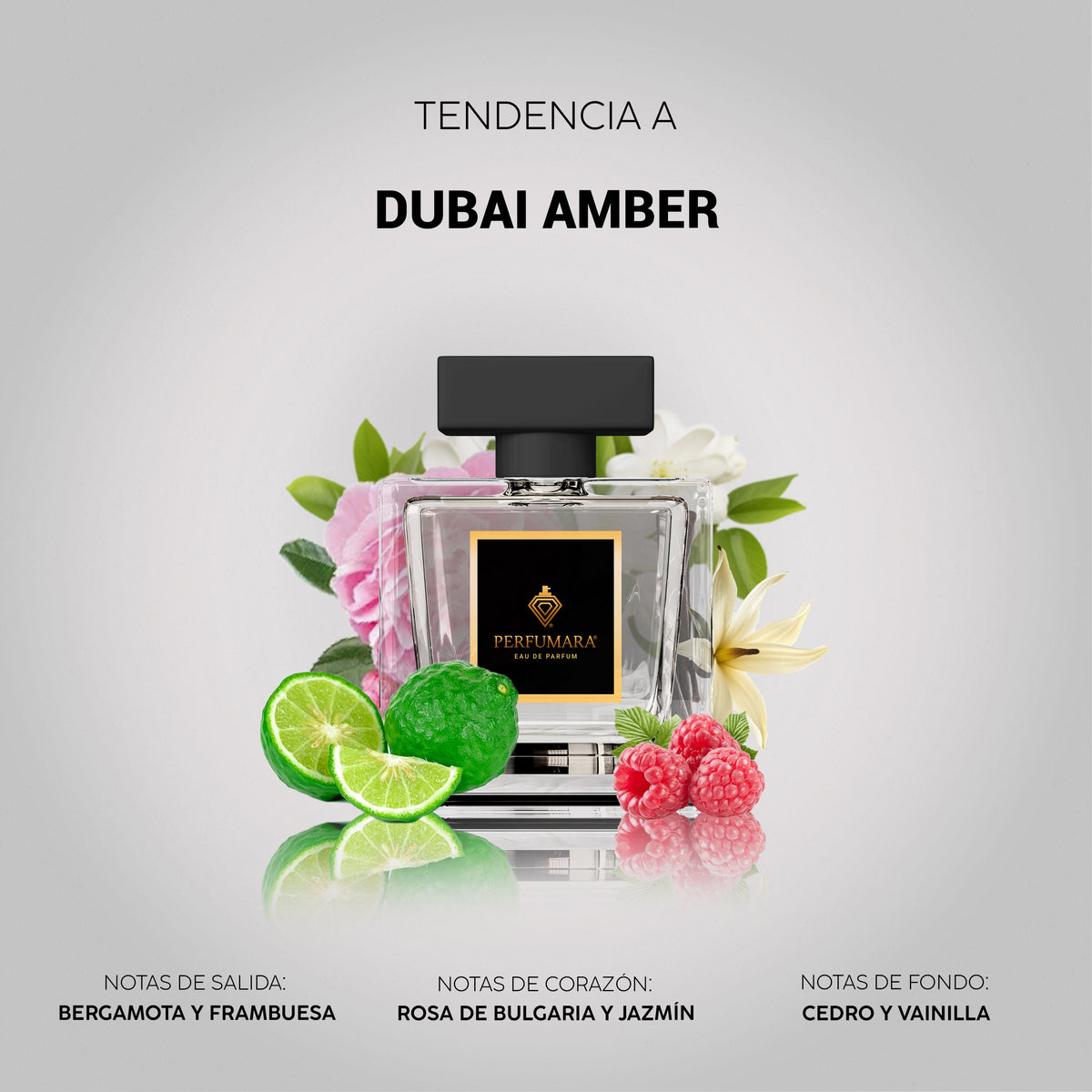 Tendencia a Dubai Amber