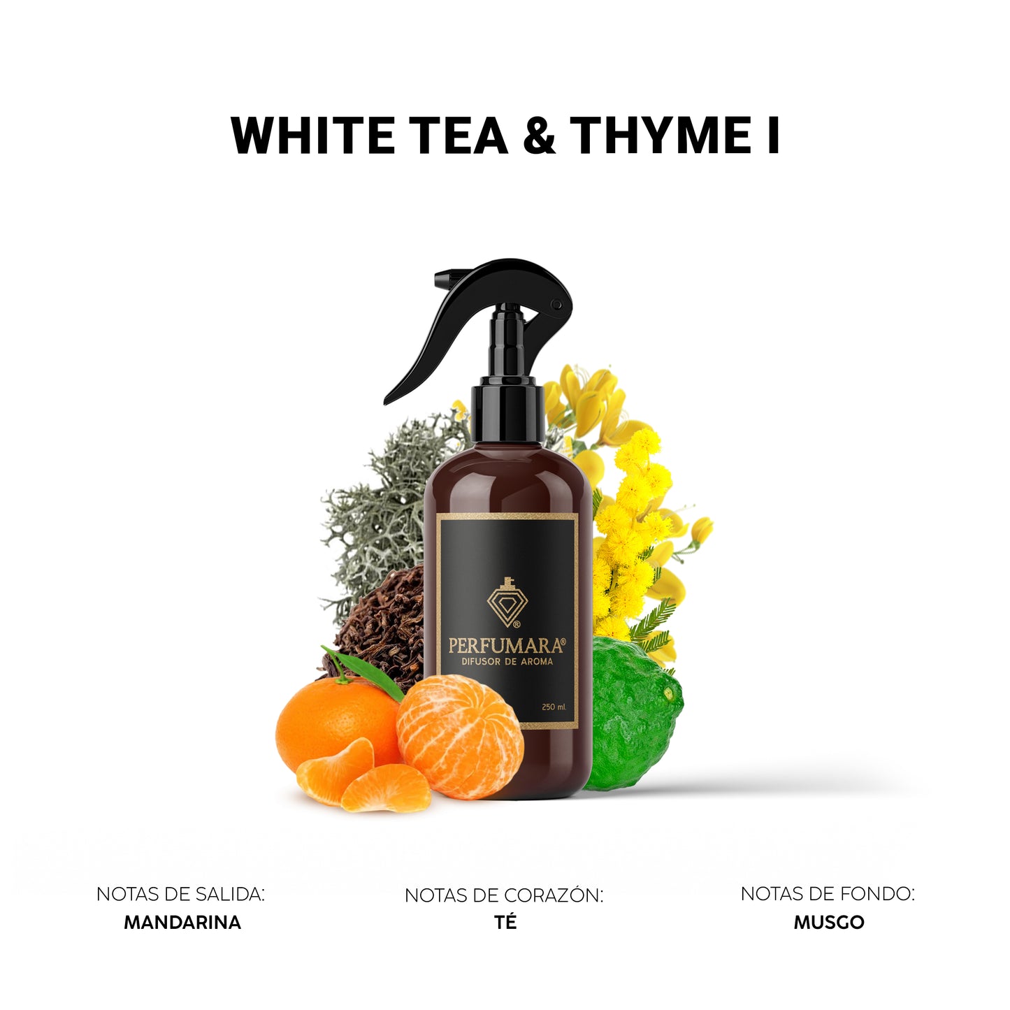 White Tea & Thyme (Ároma Versátil)