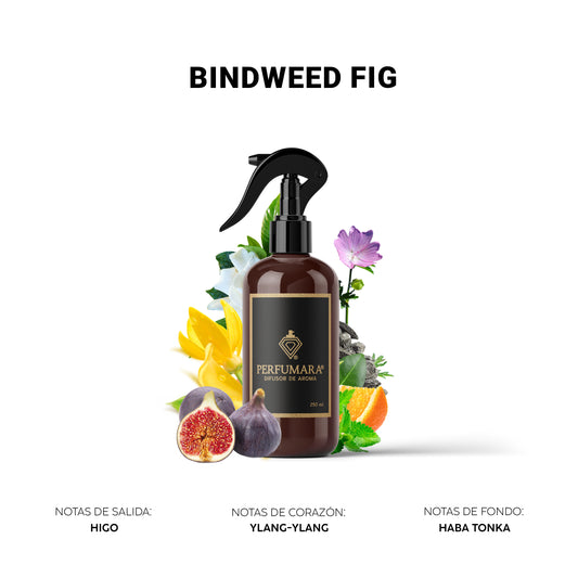 Bindweed Fig ( Aroma Relajante)