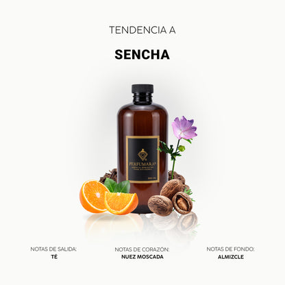 Asencha (Inspirado en tienda Nike)