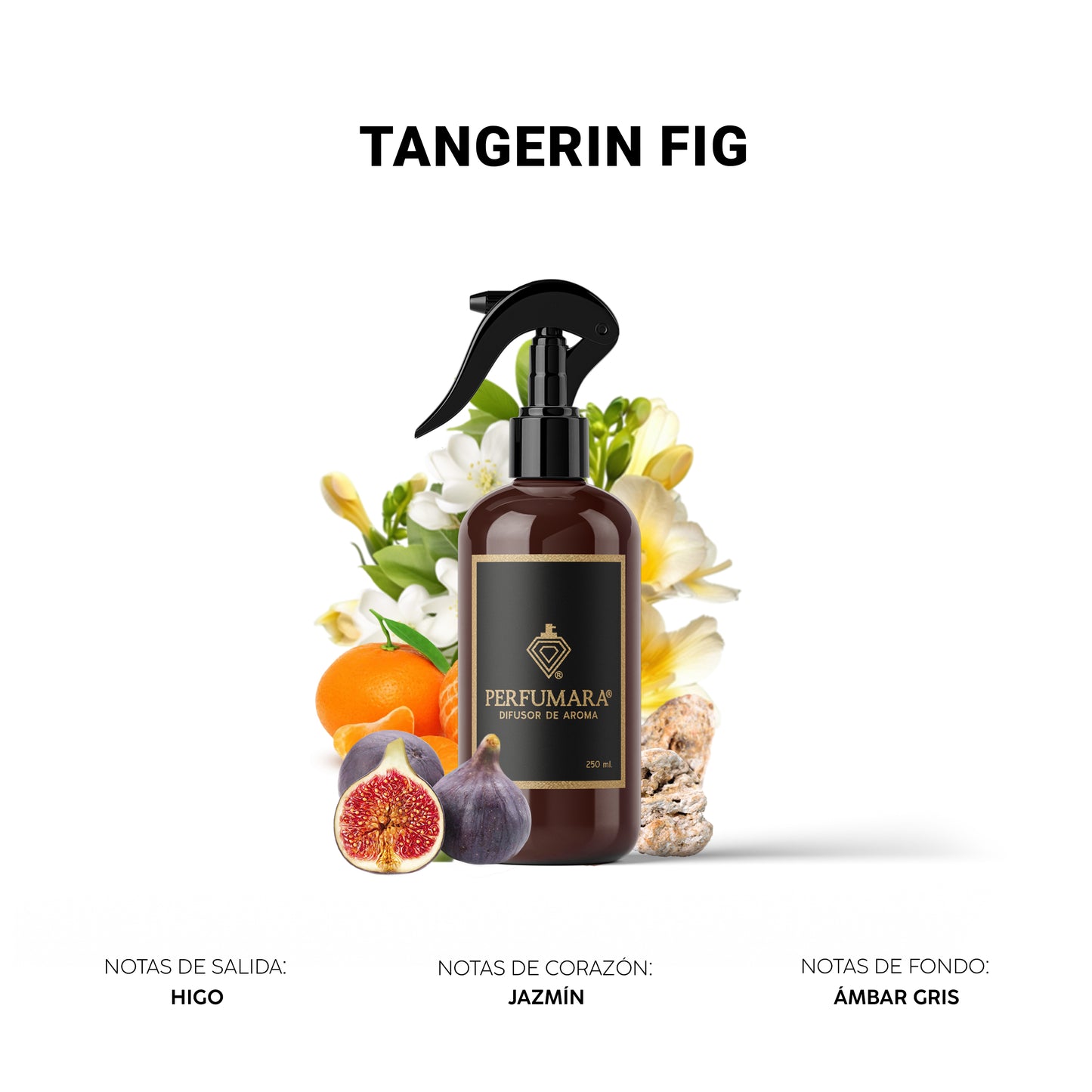 Tangerin Fig ( Tienda Deportiva )