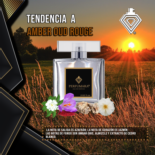 Tendencia  a UAmber Oud Rouge
